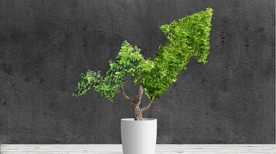 Fundación El Alcaraván - Activos